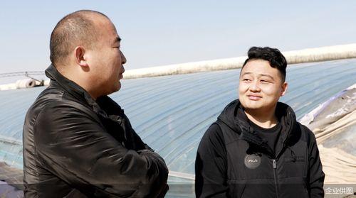 山东寿光刘伟吃瓜,一场引发热议的乡村美食体验